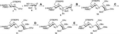 Design and Synthesis of 1-O- and 6′-C-Modified Heparan Sulfate Trisaccharides as Human Endo-6-O-Sulfatase 1 Inhibitors